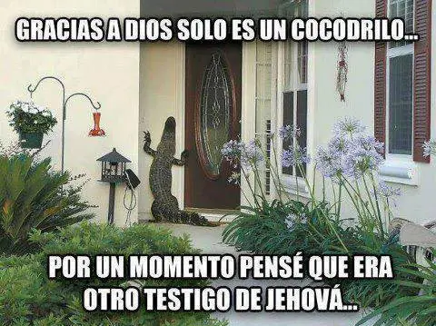 viejo