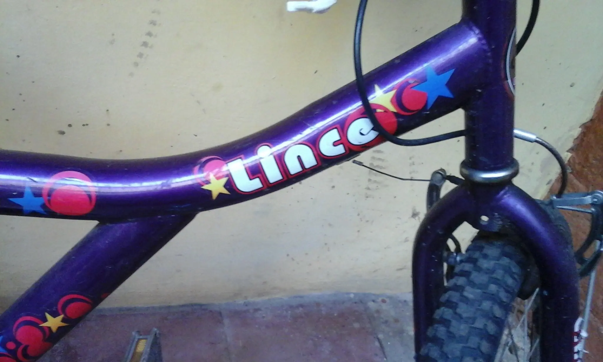 transporte