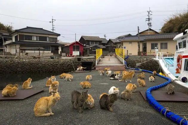 isla japonesa