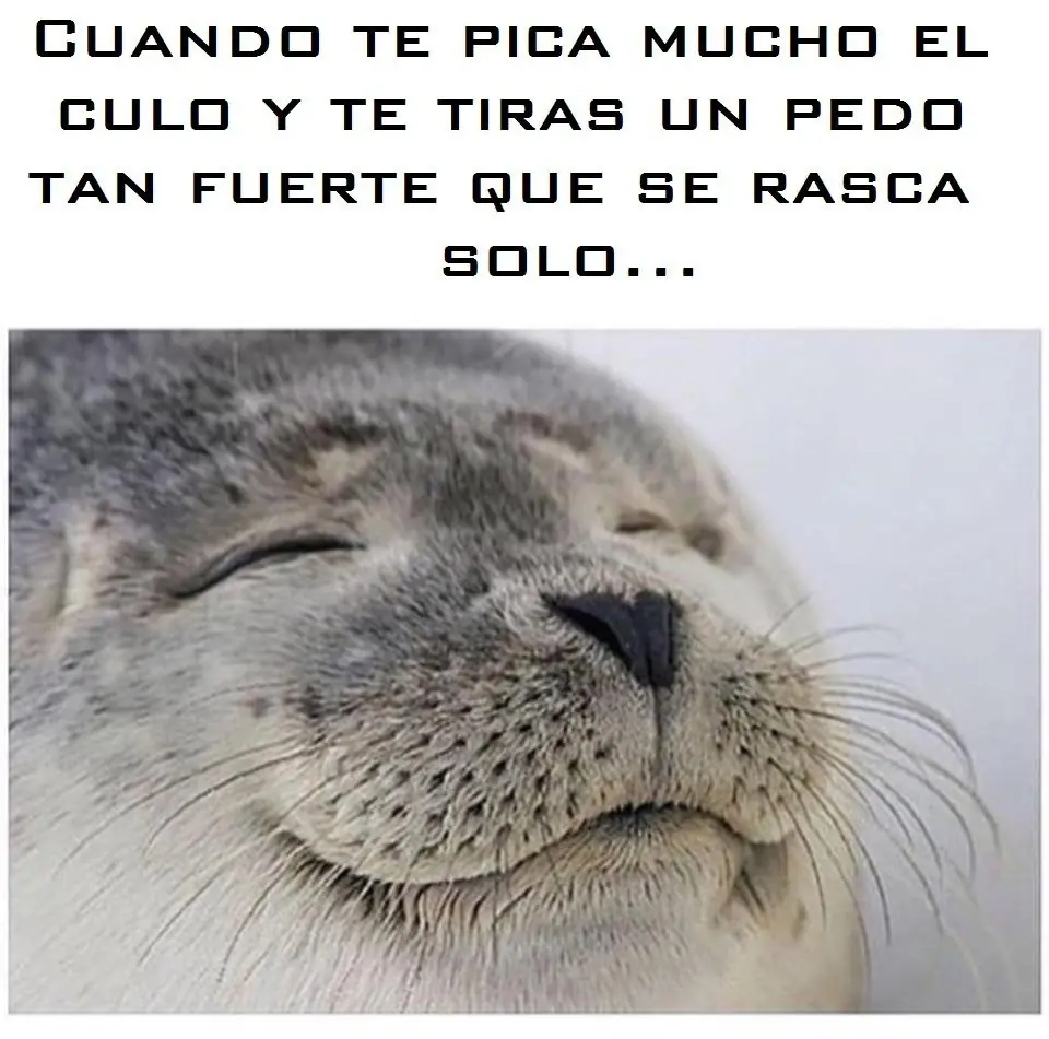 cosas estupidas que hacemos