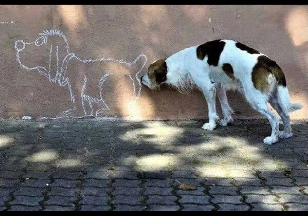 coincidencia