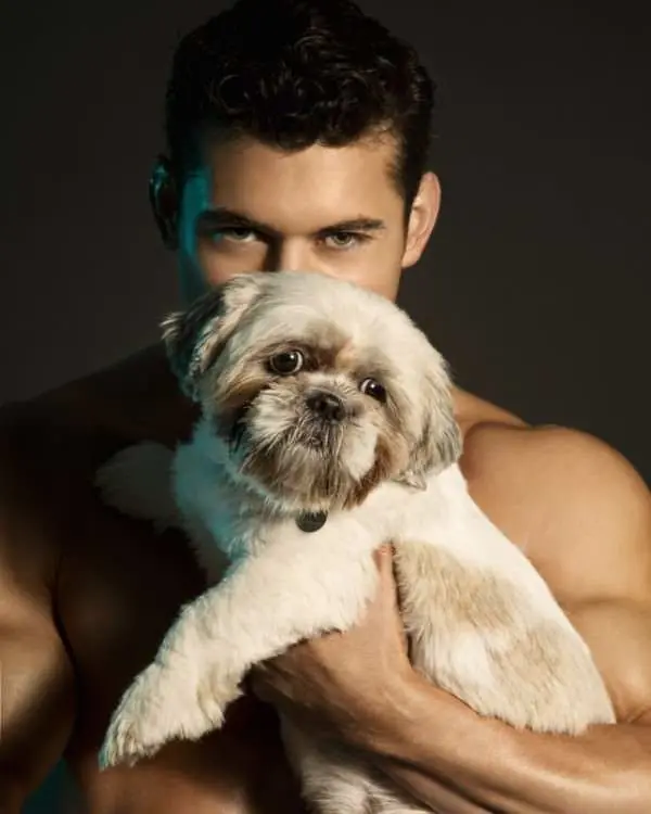 perro perro