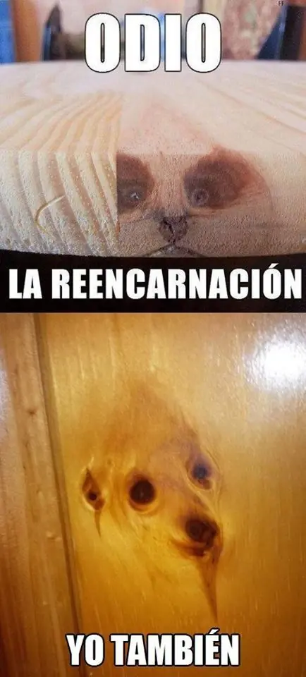 no te vayas