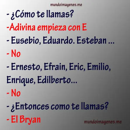 bebes
