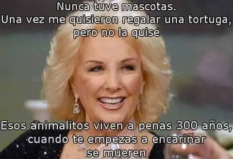 humor