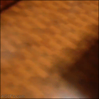 Gifs graciosos + mi agregado Vers. 80