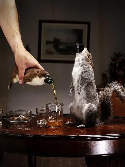 alcohol