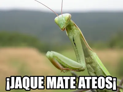 desmentida