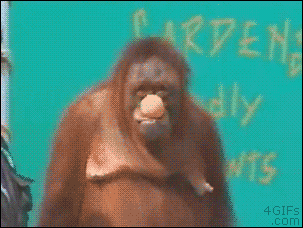 Gifs