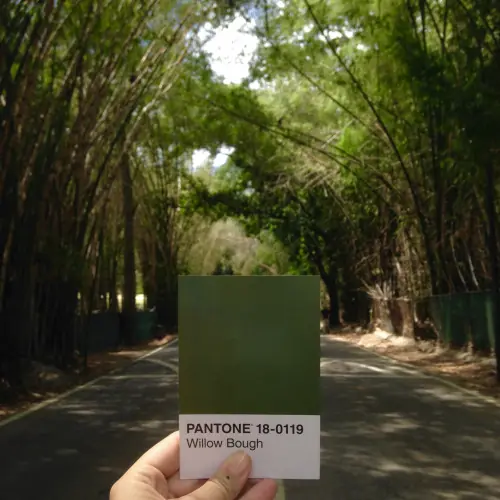 tumblr