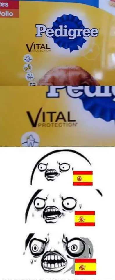 Onda Vital Segunda Parte