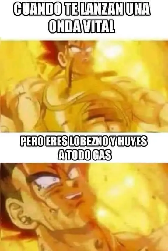 onda vital