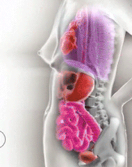 16 gifs que te muestran cómo funciona lo que te rodea
