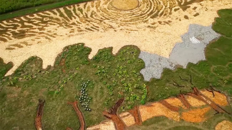 campo