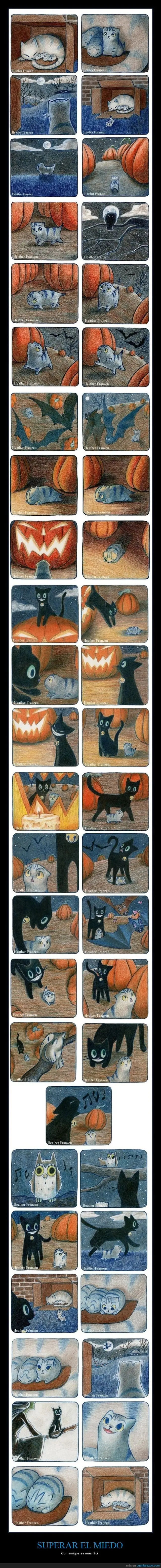 compilado
