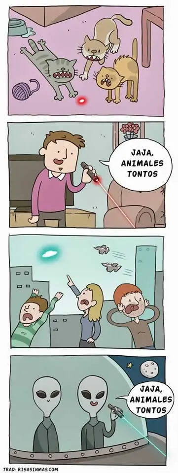 fotos