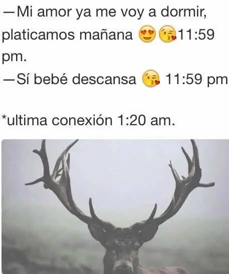 Imágenes para reirte, +3 si te gustaron papu, megapost!
