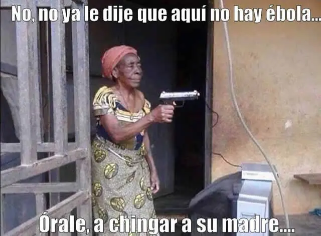 compilado