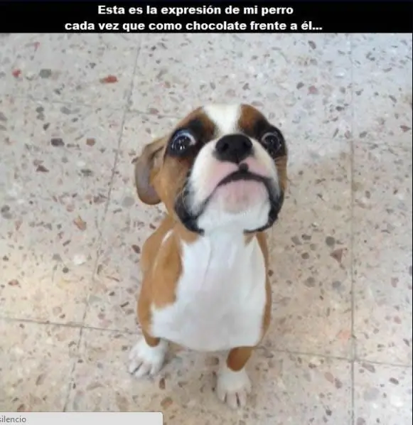compilado