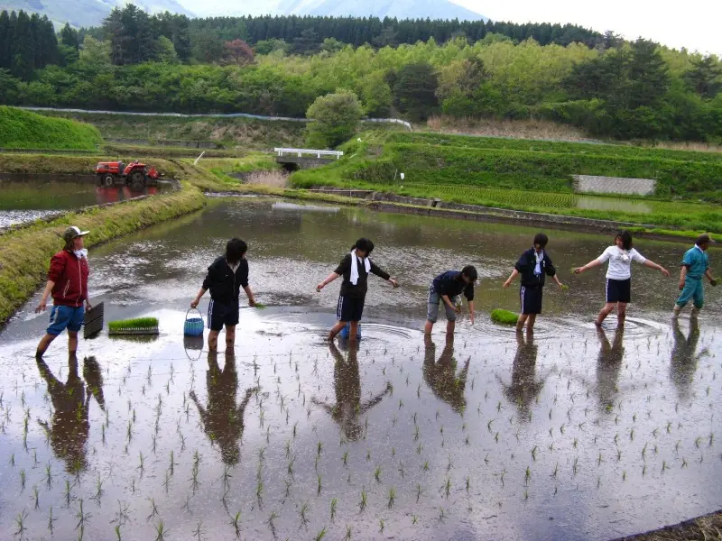 20 ideas de alojamiento barato en Japón + yapa
