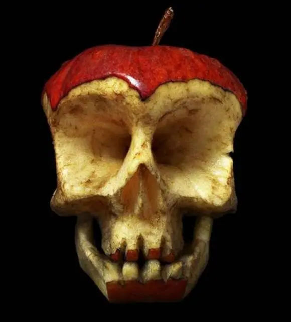 Veganos y vegetarianos