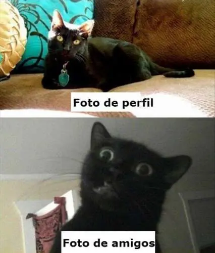 20 Imágenes de expectativa v/s realidad