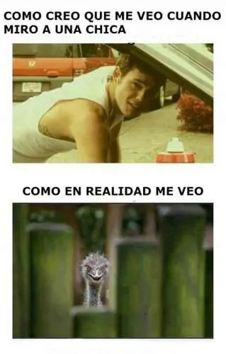 imagenes