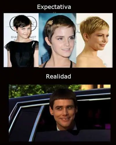 20 Imágenes de expectativa v/s realidad