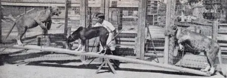 4 nenes más capos que el taringuero promedio 4 nenes más capos que el taringuero promedio