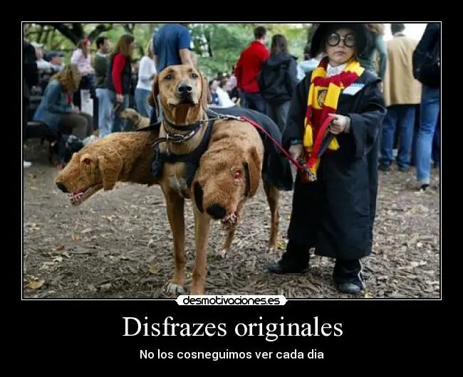 fotos