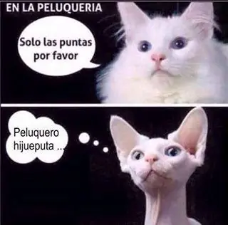Venezuela