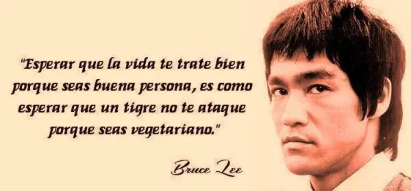 Imagenes graciosas
