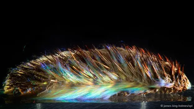 Cristales