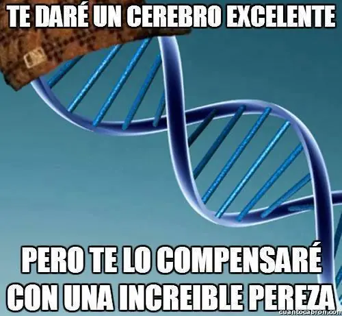 「Mi recopilacion imagenes」Reite