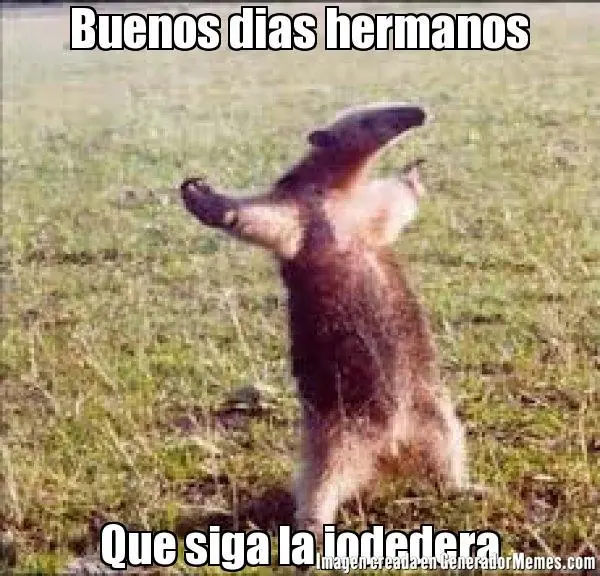 realidades de la vida