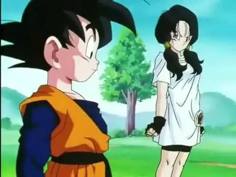 [Teoría] Videl es una Sayajin