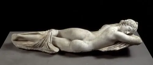 cuerpo humano