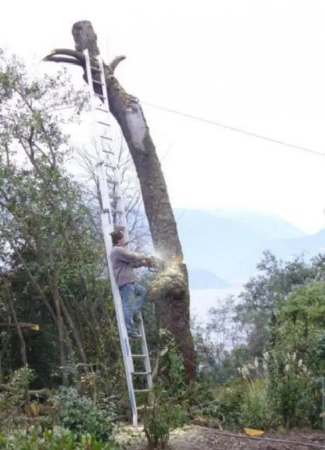 imagenes fail