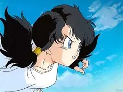 videl