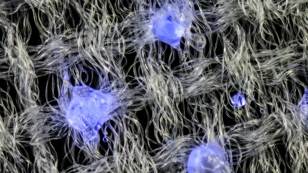 microscopio