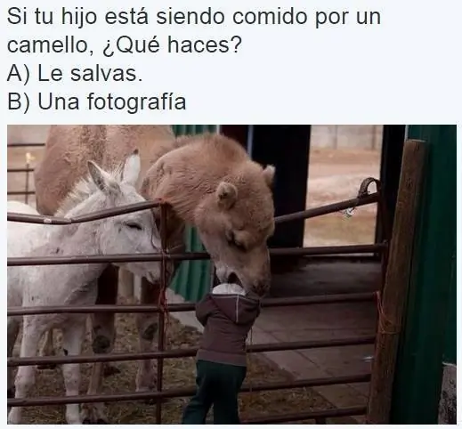 nocturno