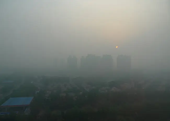 Smog Smog
