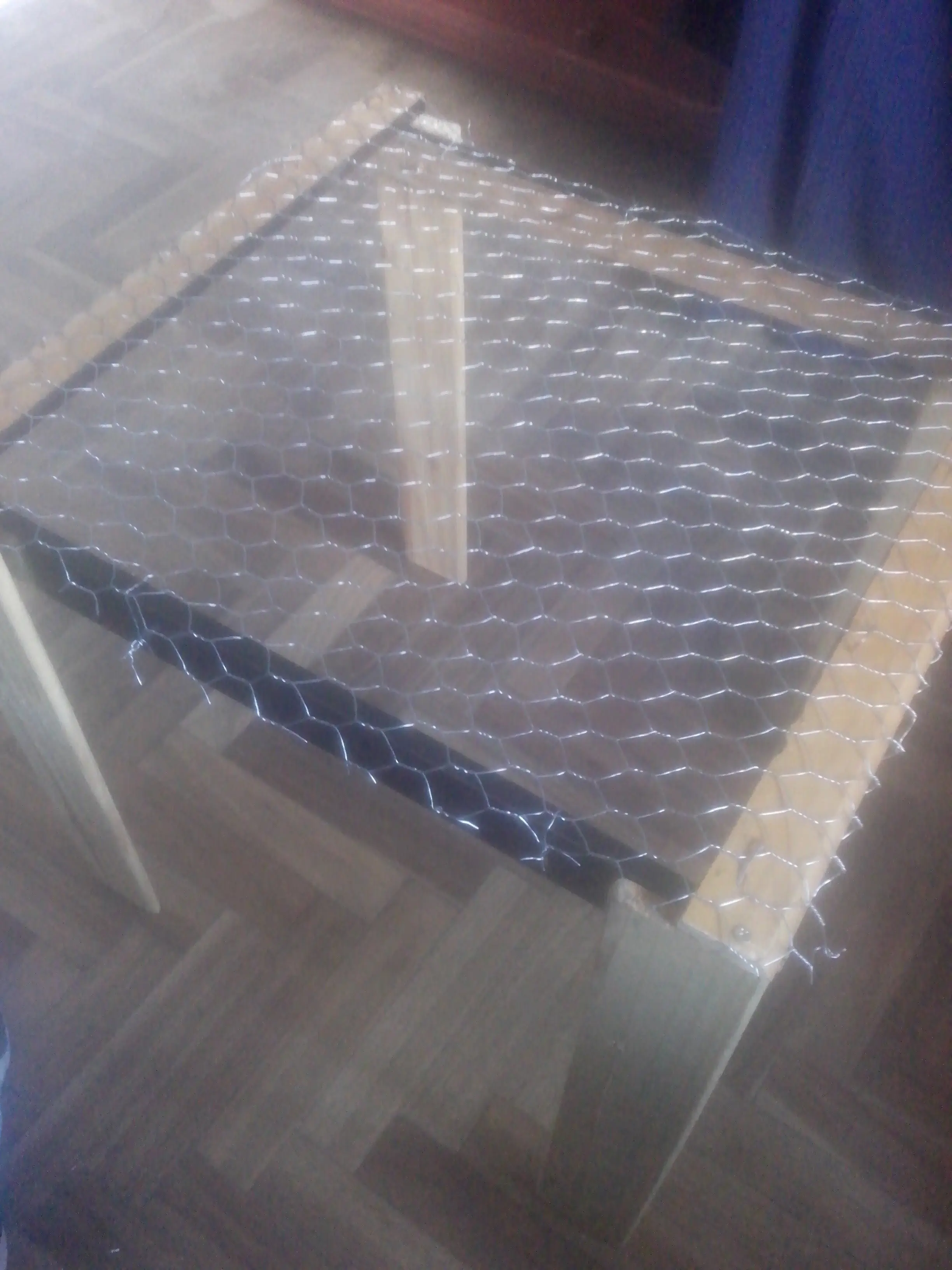 indoor casero