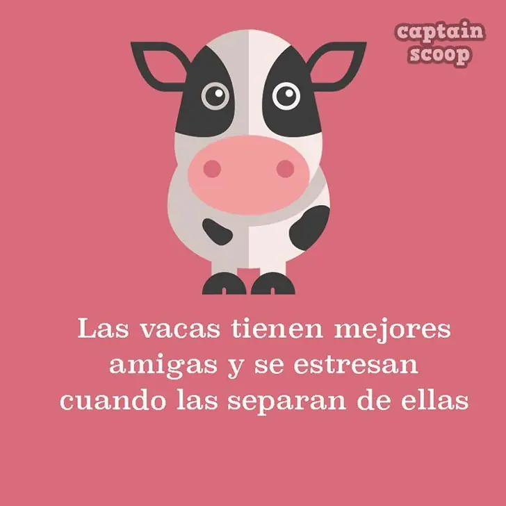 info