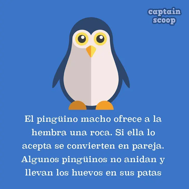 datos curioso animales