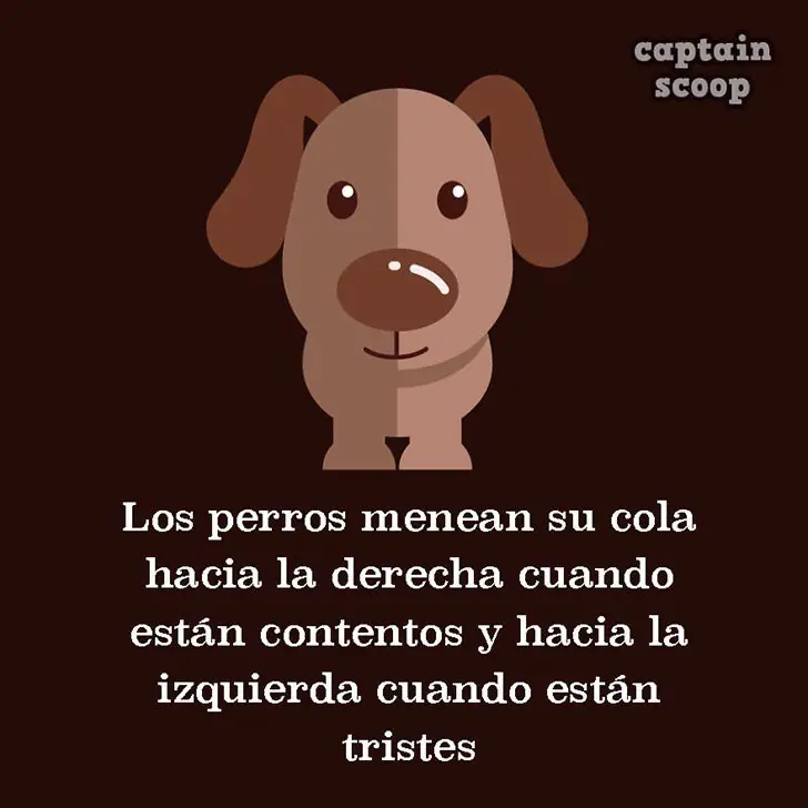 info