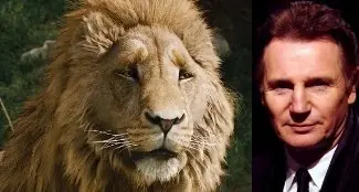 liam neeson