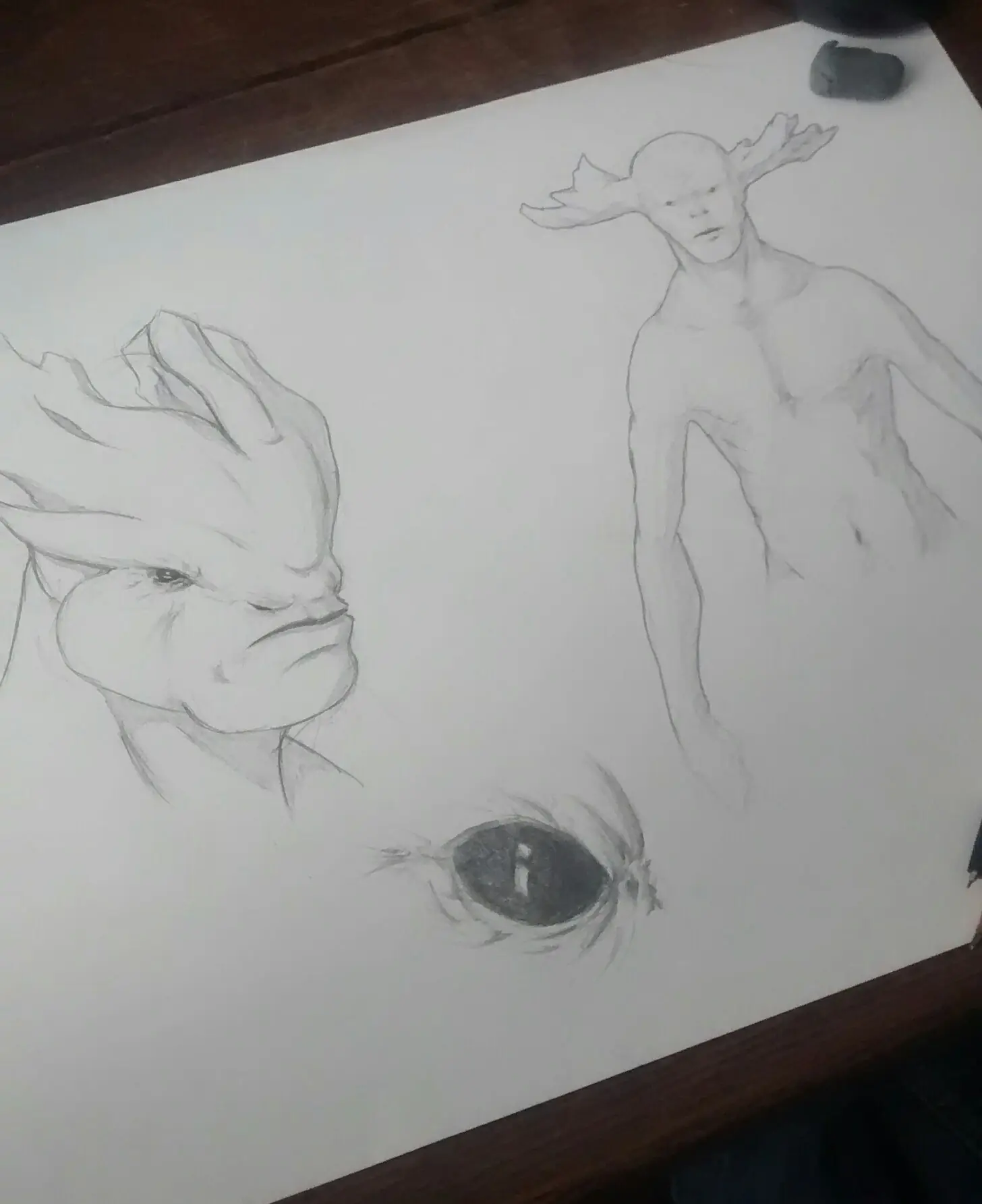 boludeces