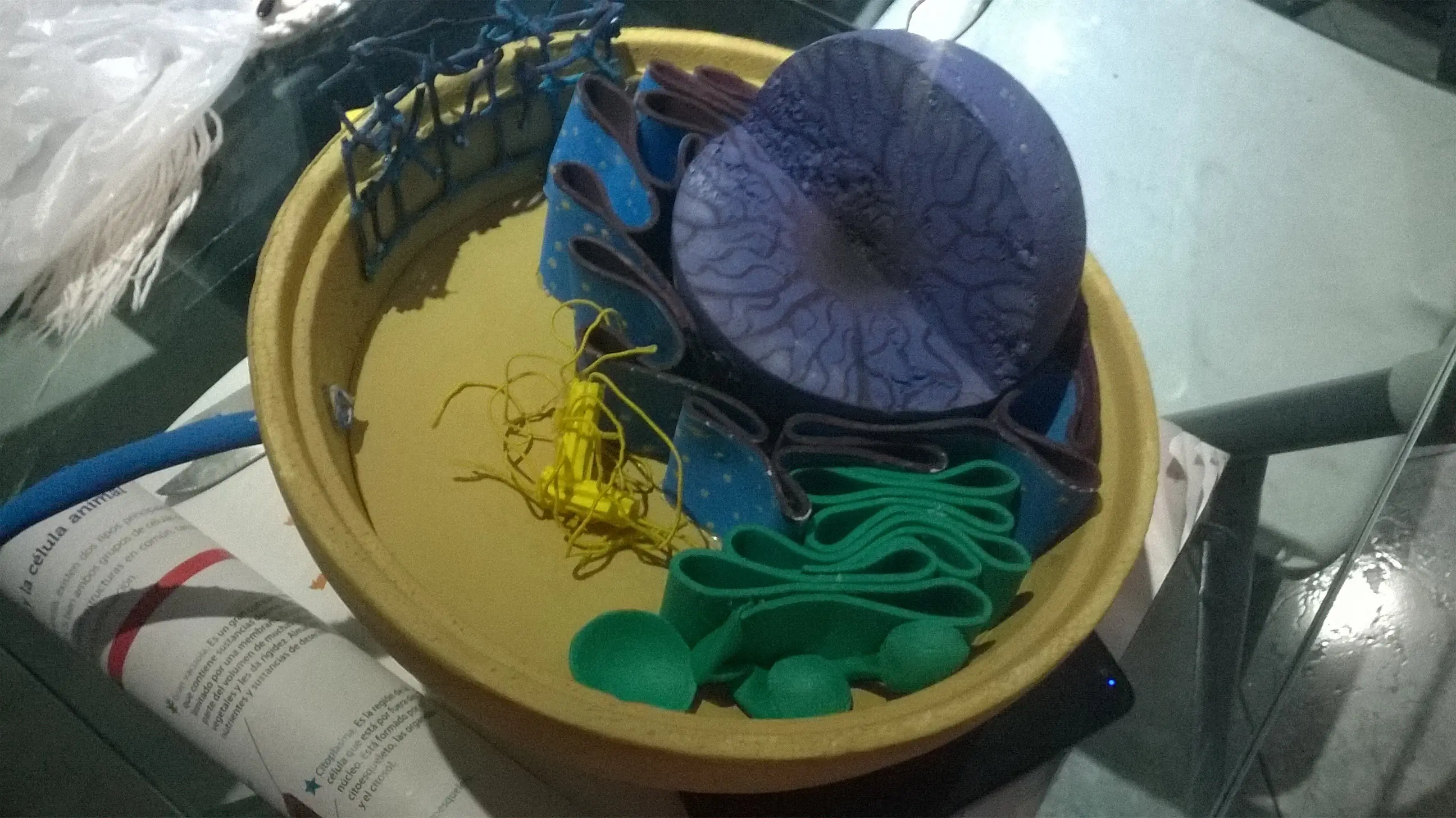 Mi Maqueta de Célula Animal (biología)
