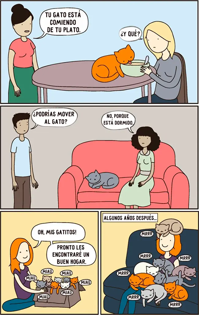 gatitos